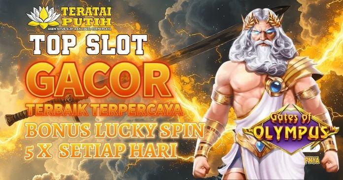Login Jackpot OVO: Cara Mudah Masuk dan Menangkan Hadiah Besar